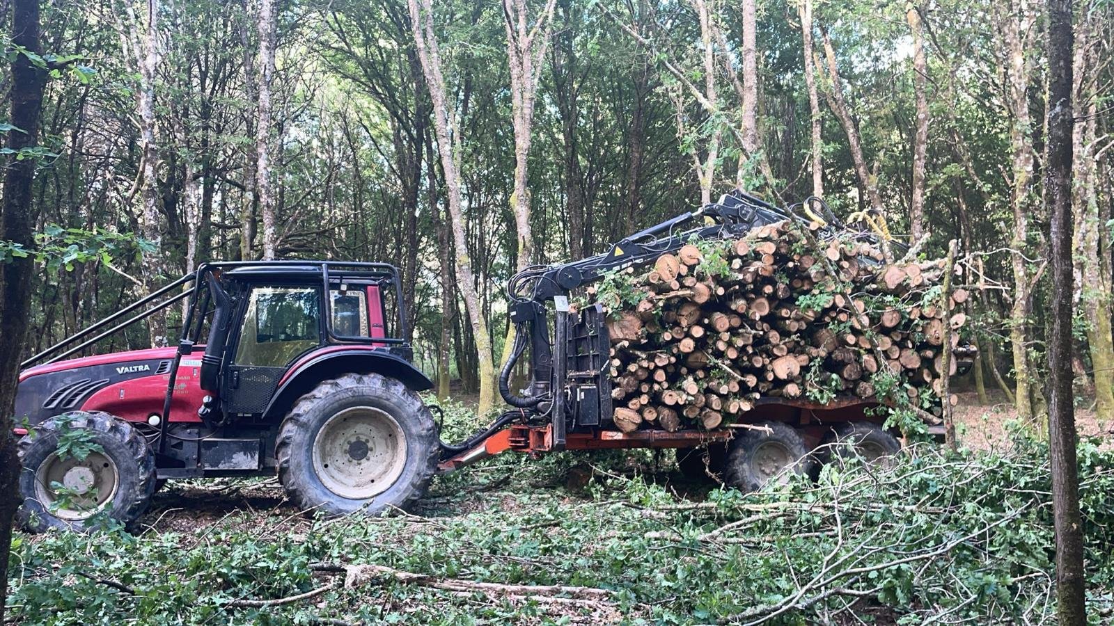 Servicios Maderas Vidal